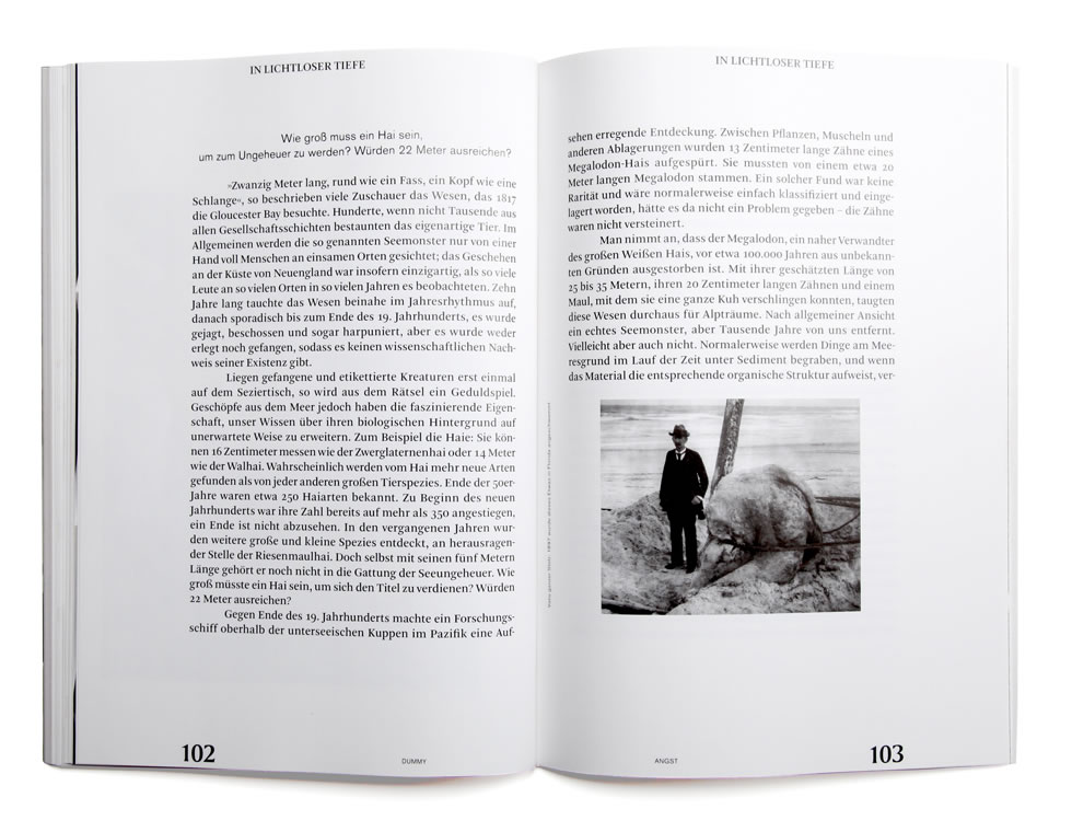 Benjamin Schulte - Dummy 29 Angst