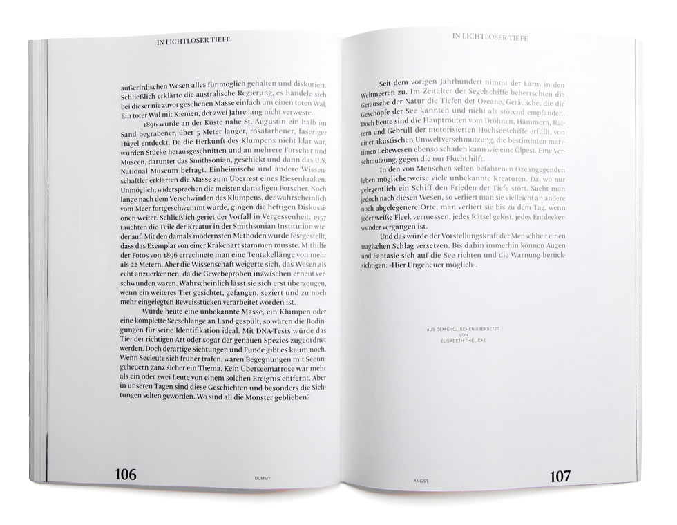 Benjamin Schulte - Dummy 29 Angst