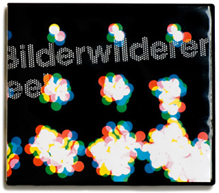 Benjamin Schulte - Bilderwilderer